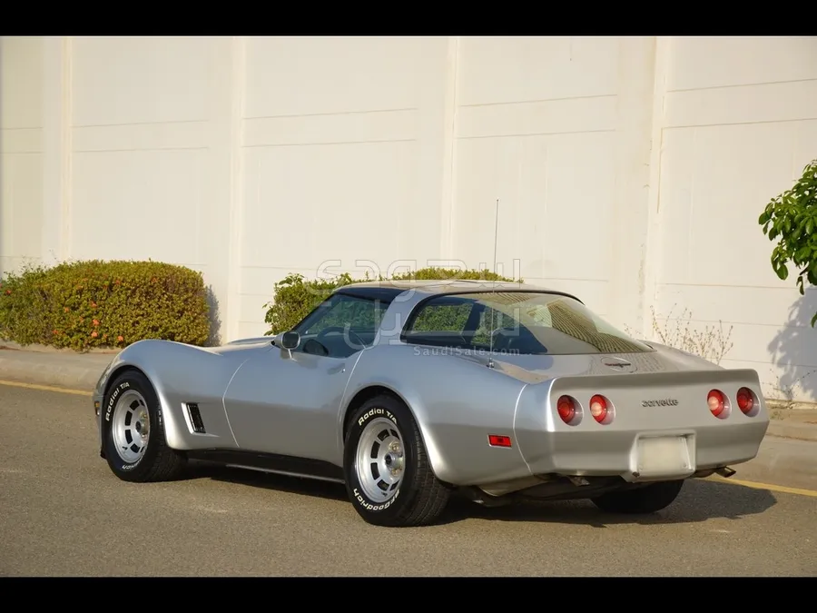 1981 Chevrolet Corvette Sting Ray