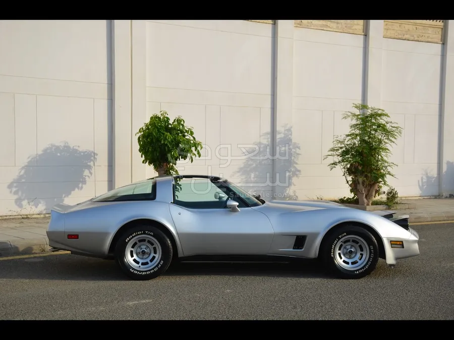 1981 Chevrolet Corvette Sting Ray