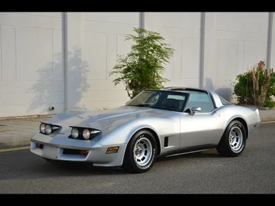 1981 Chevrolet Corvette Sting Ray