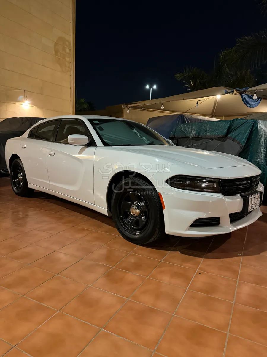 2020 Dodge Charger Police