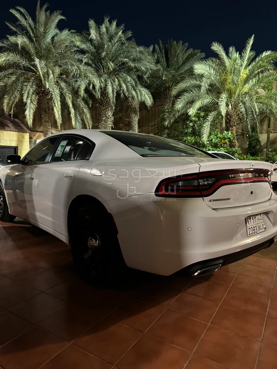 2020 Dodge Charger Police