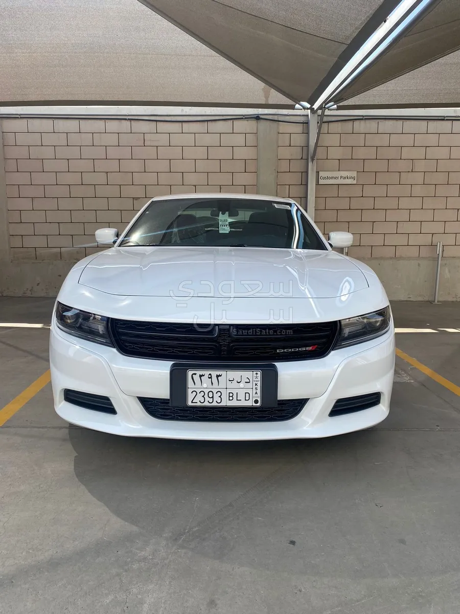 2020 Dodge Charger Police