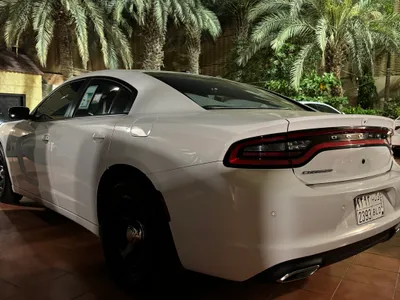2020 Dodge Charger Police