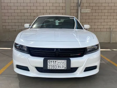 2020 Dodge Charger Police