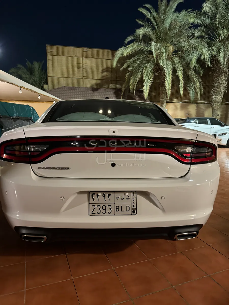 2020 Dodge Charger Police