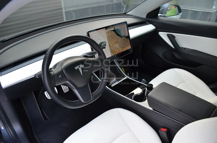 2019 Tesla model 3