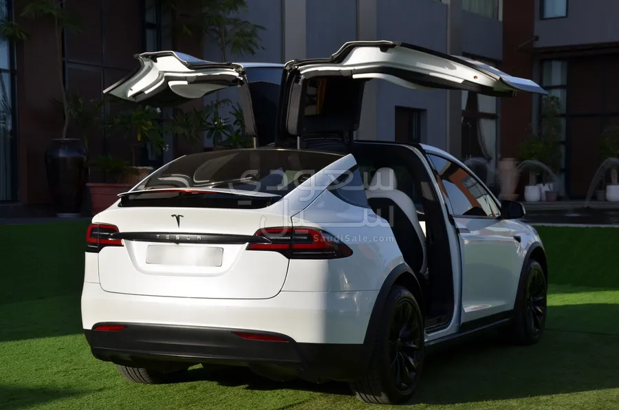 2020 Tesla model X