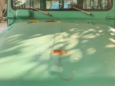 1979 تويوتا اف جي كروزر قياسي