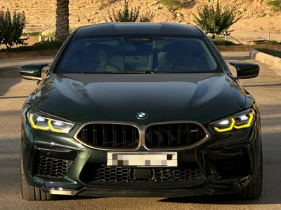2020 BMW M Series M8 first edition