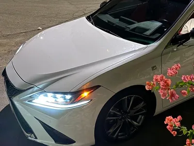 2021 Lexus ES F