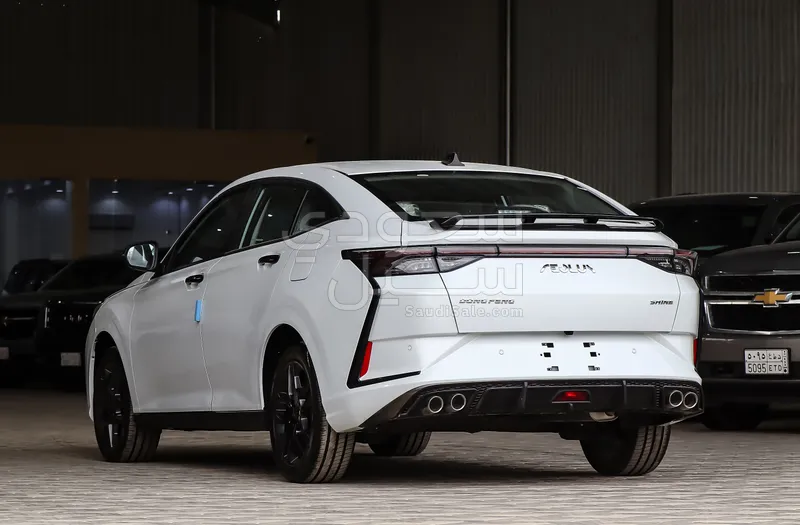 2024 Dongfeng Shine
