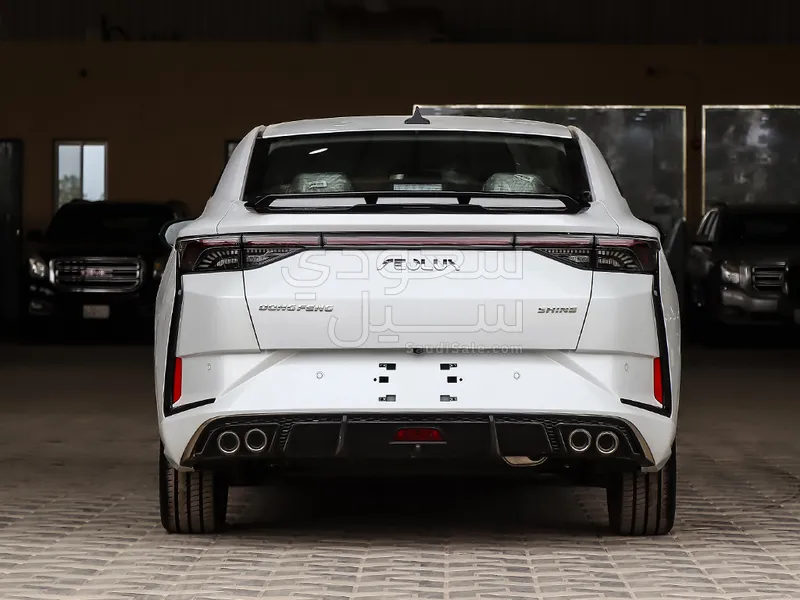2024 Dongfeng Shine