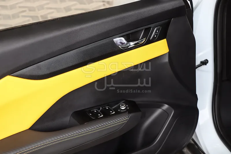 2024 Dongfeng Shine