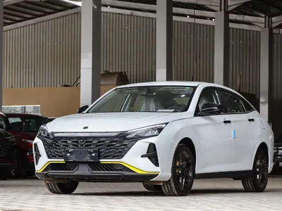 2024 Dongfeng Shine
