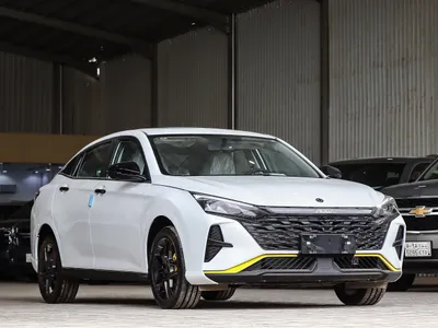 2024 Dongfeng Shine