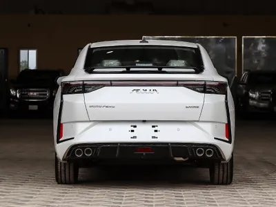 2024 Dongfeng Shine