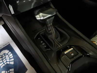 2024 Dongfeng Shine
