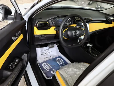 2024 Dongfeng Shine