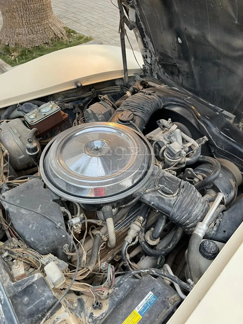 1981 Chevrolet Corvette C5