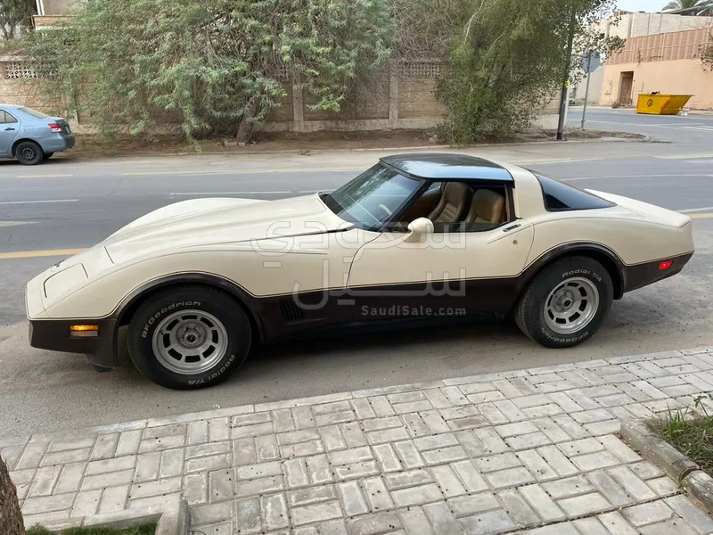 1981 Chevrolet Corvette C5