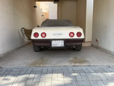 1981 Chevrolet Corvette C5