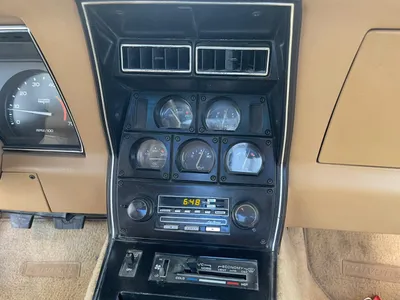 1981 Chevrolet Corvette C5