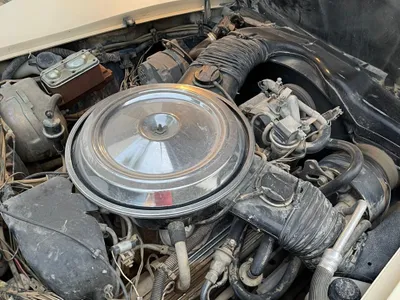 1981 Chevrolet Corvette C5