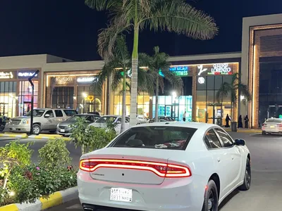 2020 Dodge Charger Police