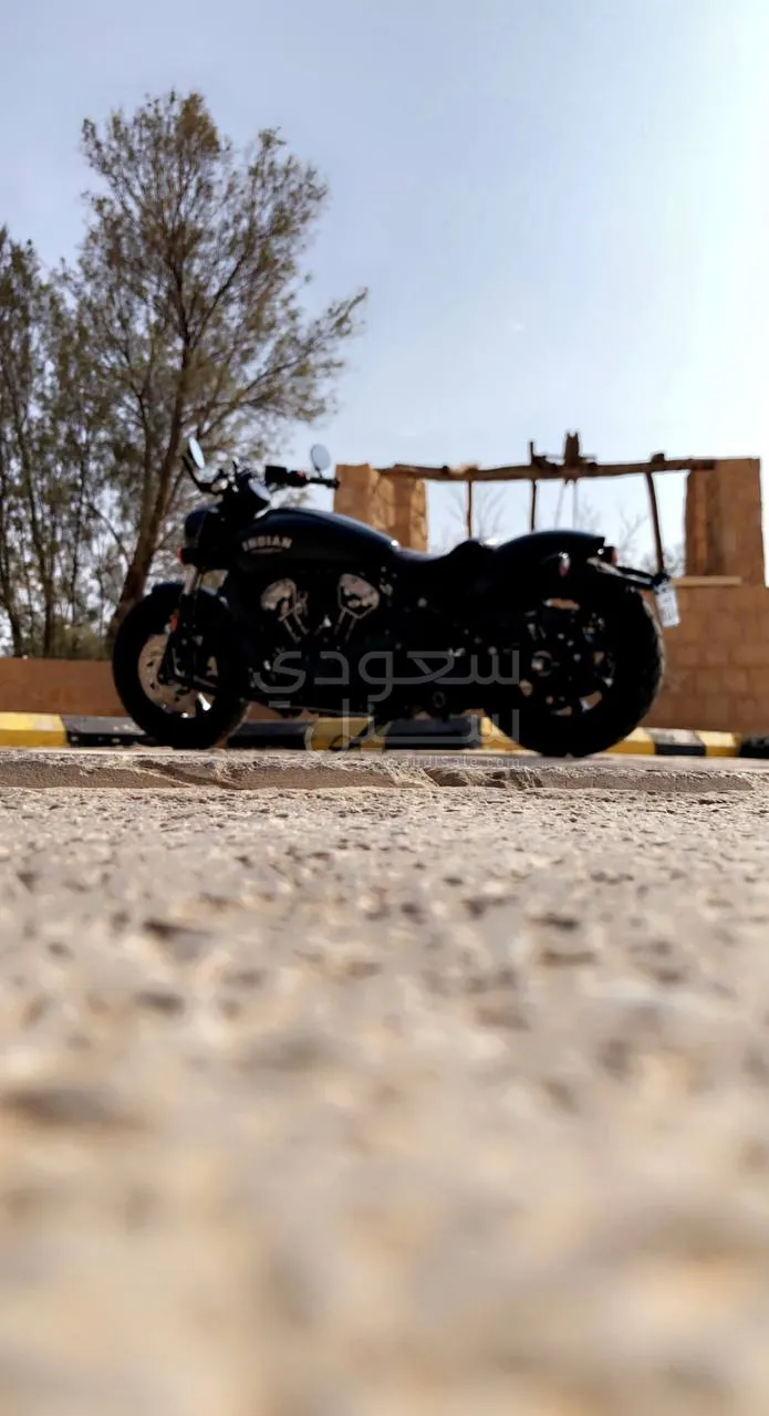 2019 انديان سكوت