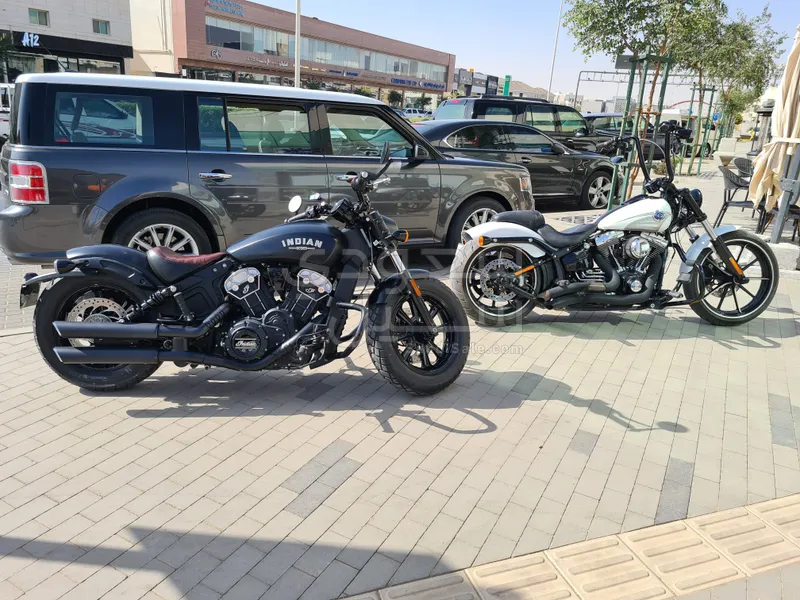 2019 انديان سكوت