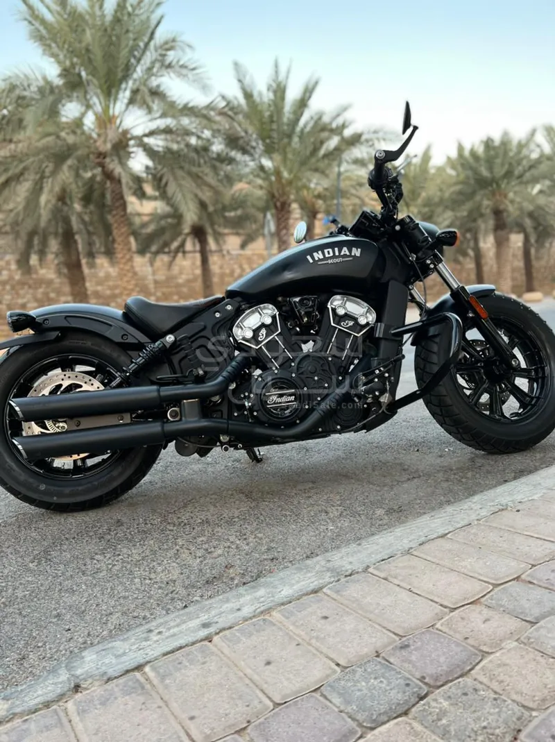 2019 انديان سكوت