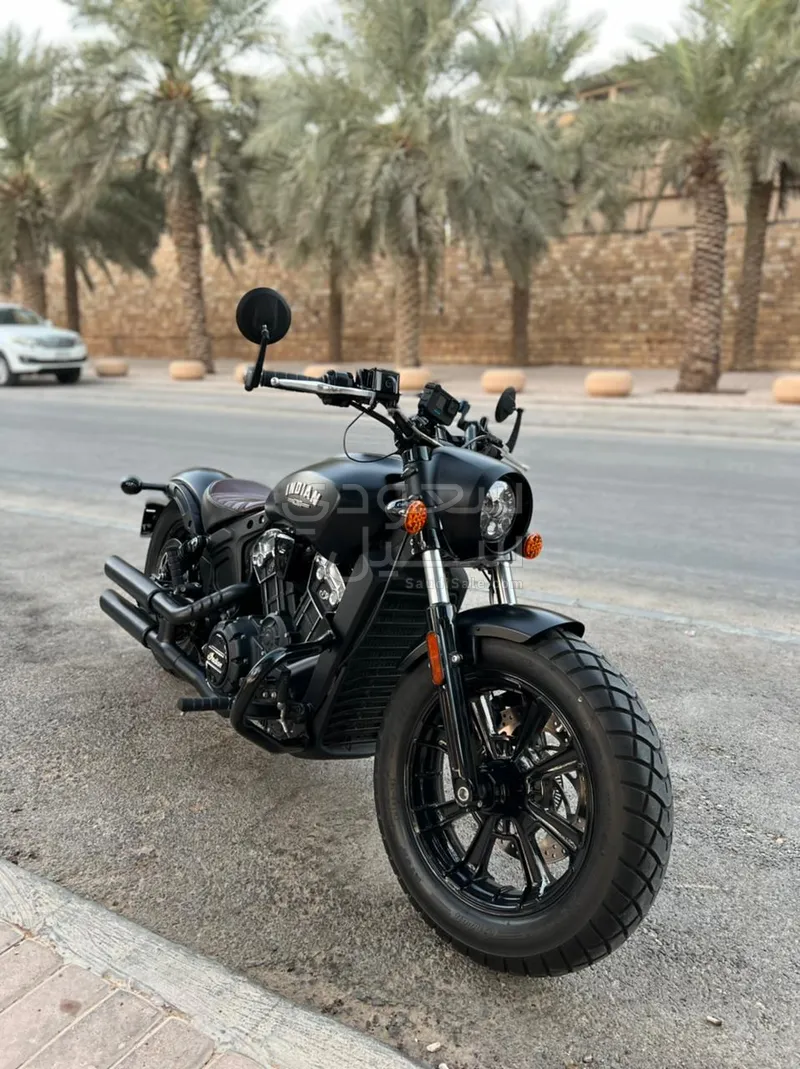 2019 انديان سكوت