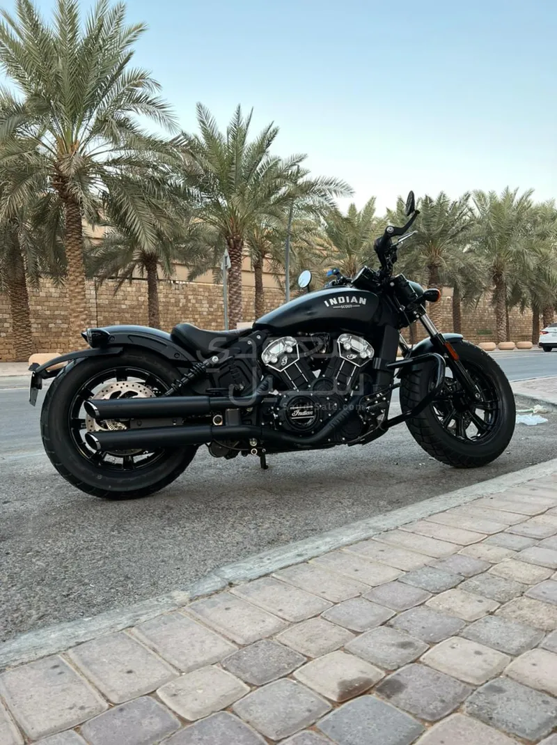 2019 انديان سكوت