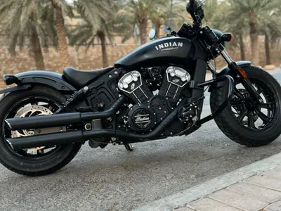 2019 انديان سكوت