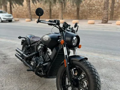 2019 انديان سكوت