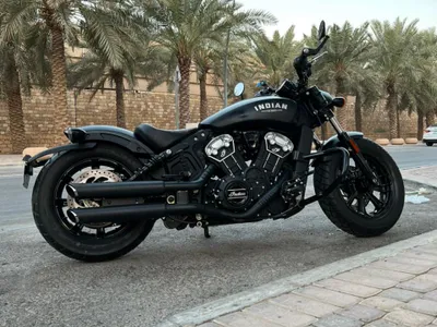 2019 انديان سكوت