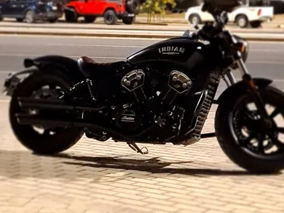 2019 انديان سكوت