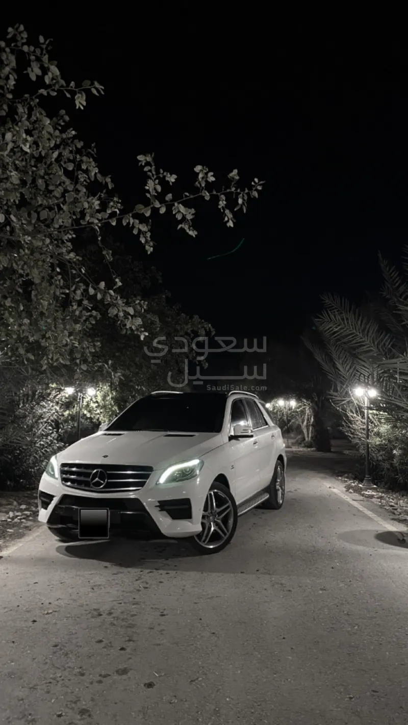 2014 Mercedes-Benz ML 500