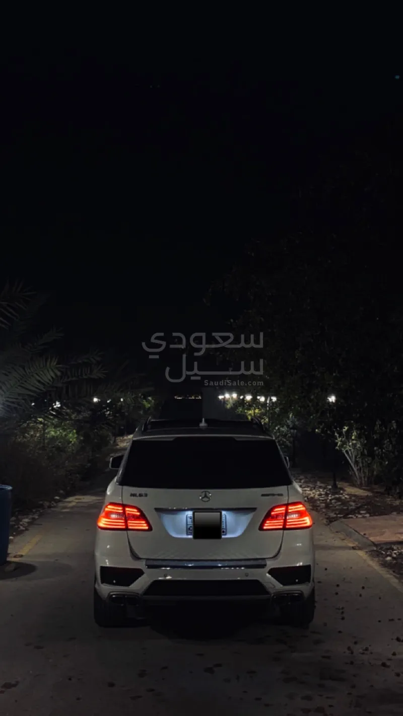 2014 Mercedes-Benz ML 500