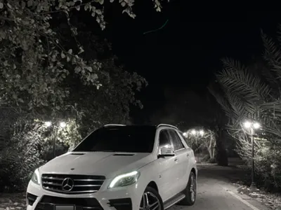 2014 Mercedes-Benz ML 500