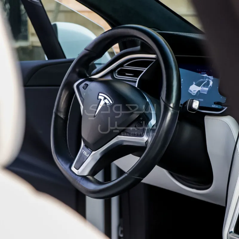 2018 Tesla model X P100 D