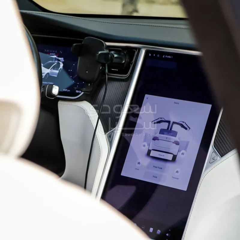2018 Tesla model X P100 D
