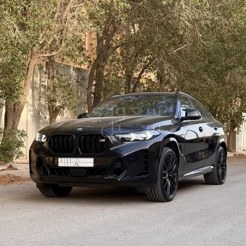 2024 BMW X Series 6