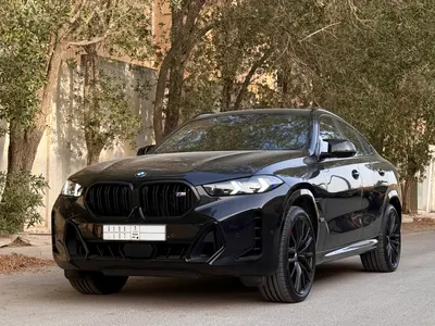 2024 BMW X Series 6