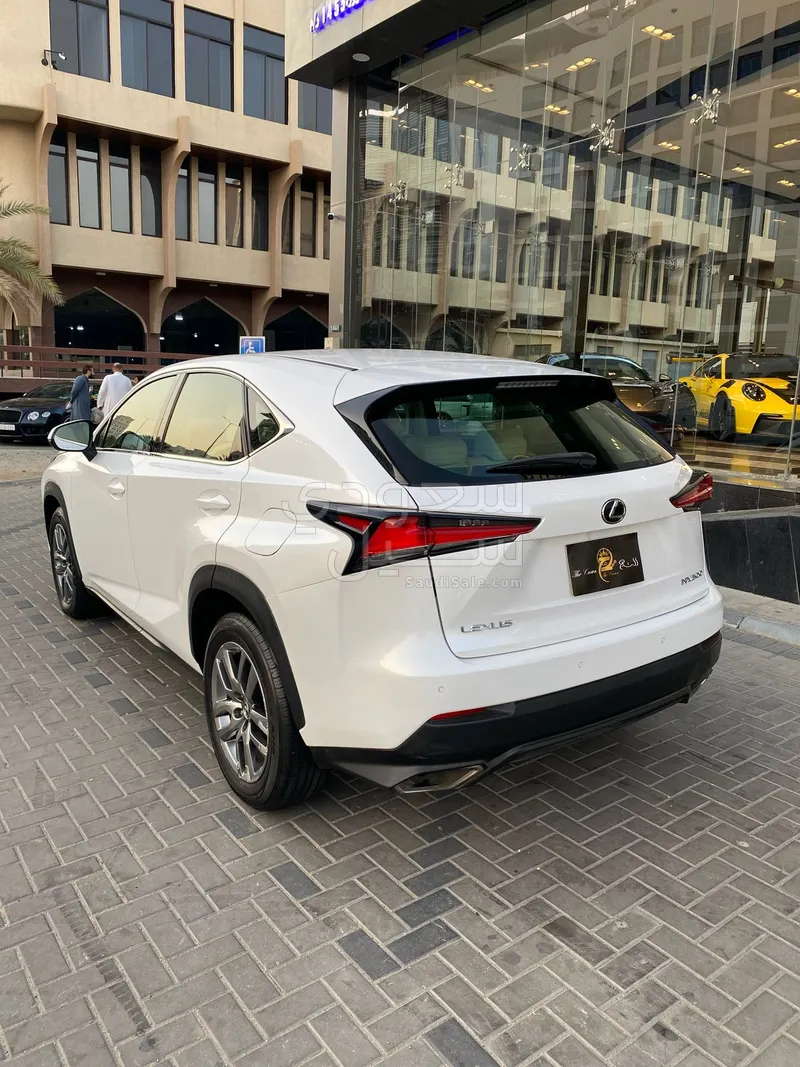 2019 Lexus NX 300