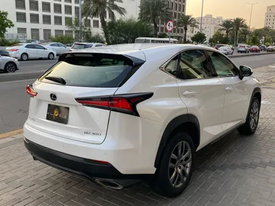 2019 Lexus NX 300