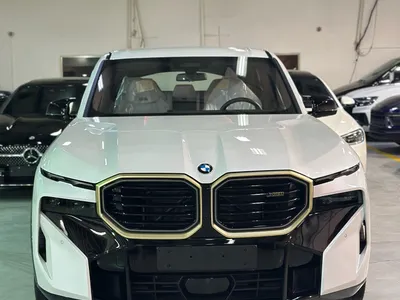2023 BMW XM