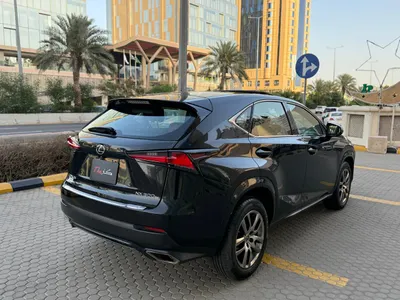 2020 Lexus NX 300