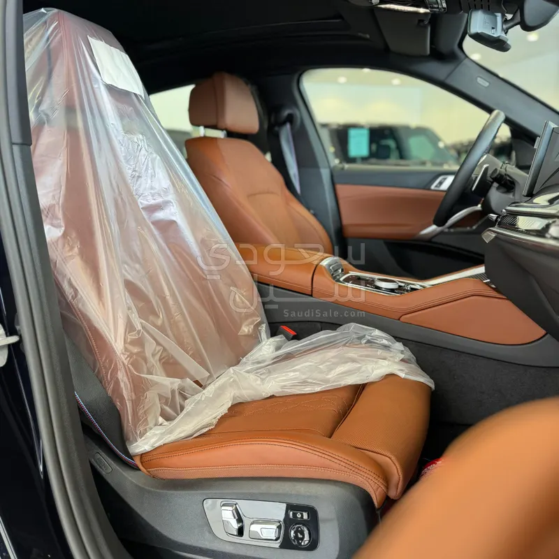 2025 BMW X Series 6