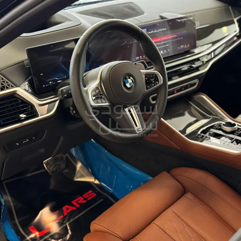 2025 BMW X Series 6